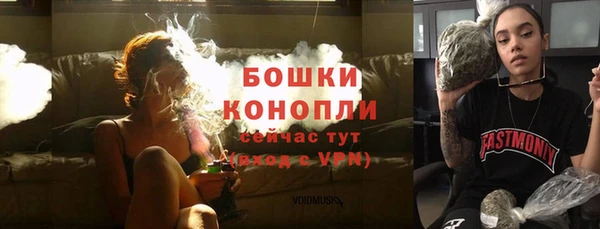 каннабис Новодвинск