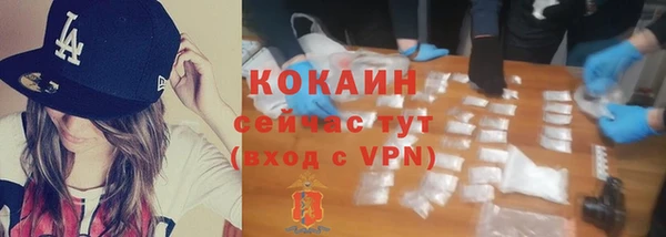 СК Новокубанск
