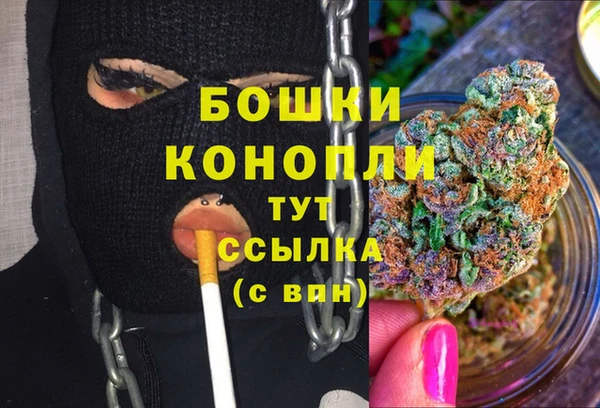 каннабис Новодвинск