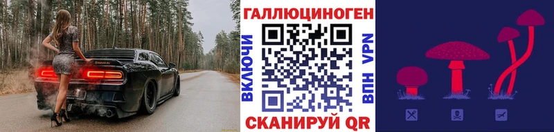 наркотики  Ужур  Галлюциногенные грибы Psilocybe 